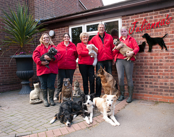 Julianna's kennels sales and cattery